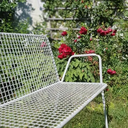 Inn Gasthof Gruner Baum Kirchberg am Wechsel