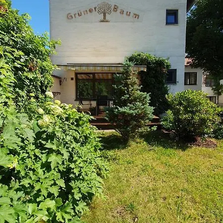 Inn Gasthof Gruner Baum 3*