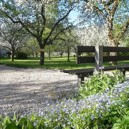 Gruener Baum Locanda Kirchberg am Wechsel