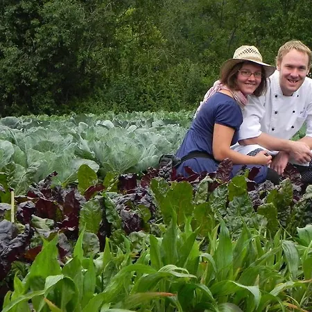 Gasthof Gruner Baum 3* Kirchberg am Wechsel