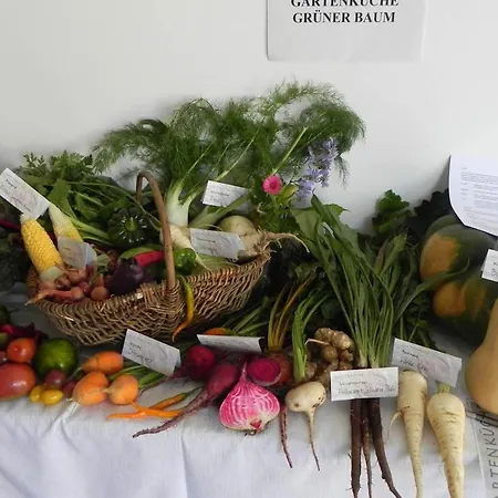Gruener Baum Kirchberg am Wechsel