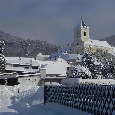 Gasthof Gruner Baum 3*