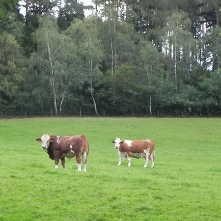 Gruener Baum Locanda Kirchberg am Wechsel