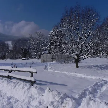 Inn Gasthof Gruner Baum 3*