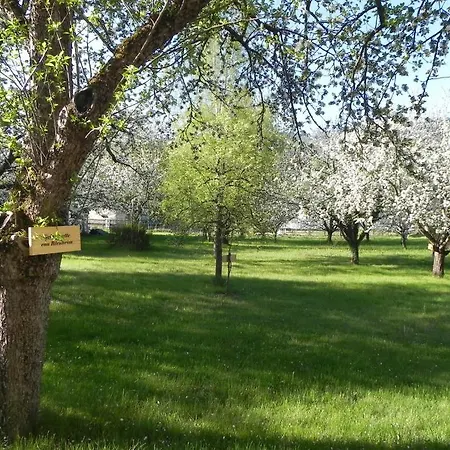 Gruener Baum 3* Kirchberg am Wechsel
