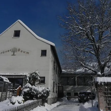Gasthof Gruner Baum 3*