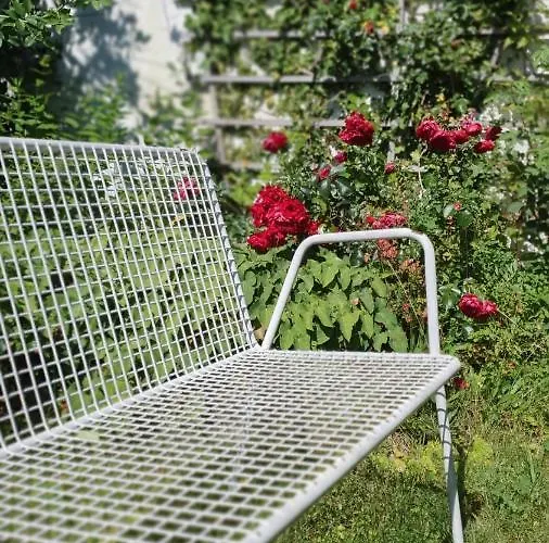 Fogadó Gruener Baum Kirchberg am Wechsel