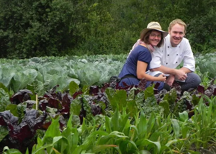 Grüner Baum 3* Kirchberg am Wechsel