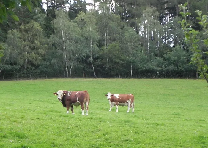 Gruener Baum Fogadó Kirchberg am Wechsel