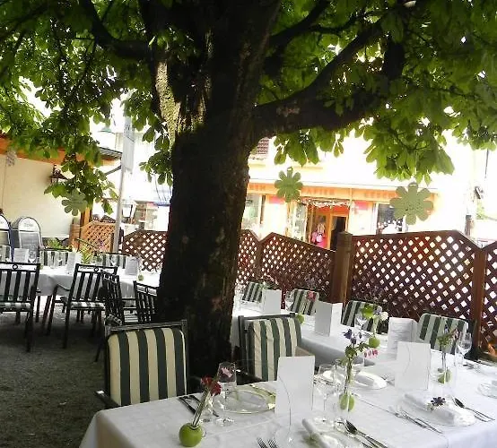 Gruener Baum 3* Kirchberg am Wechsel