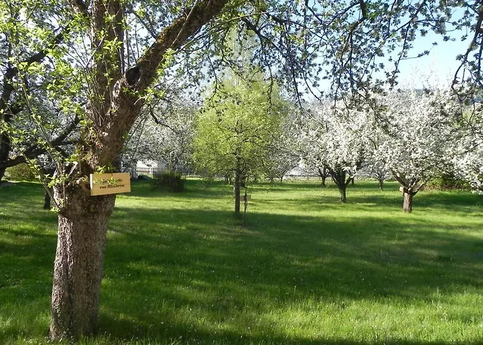 Grüner Baum 3* Kirchberg am Wechsel